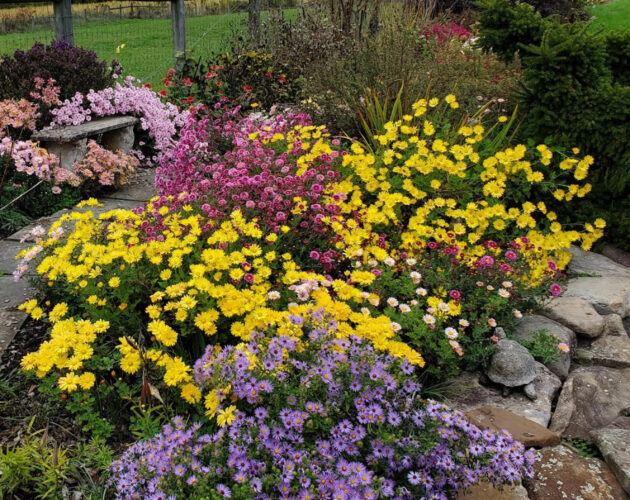 The flowers of fall